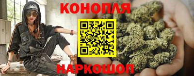 сатива Можга