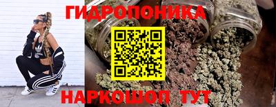 сатива Можга